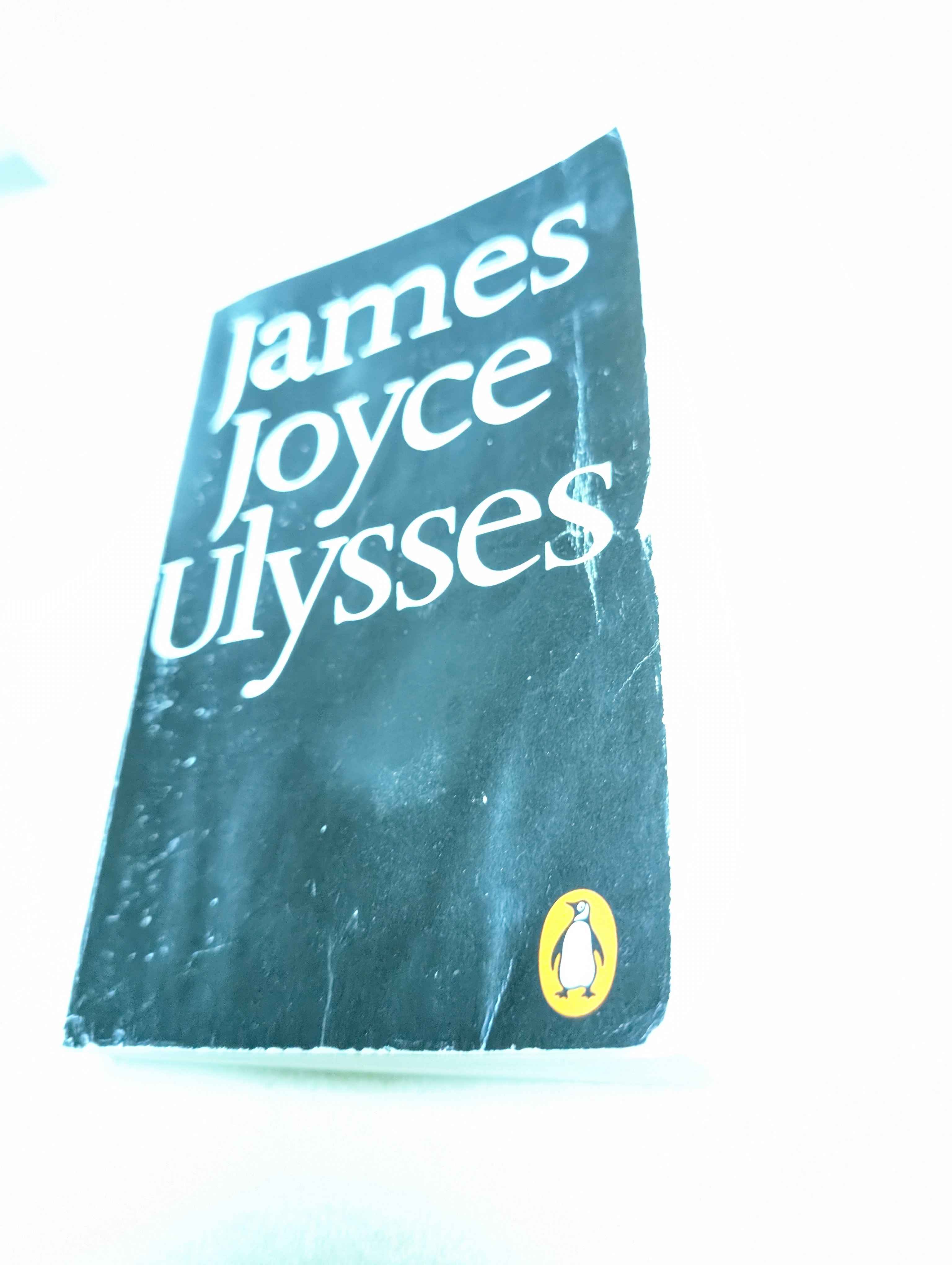 The modernist masterpiece, Ulysses